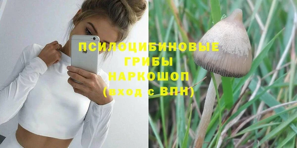прущие крисы Беломорск