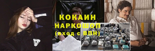 прущие крисы Беломорск