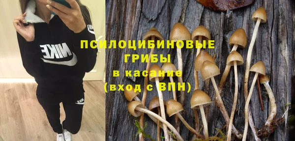 прущие крисы Беломорск
