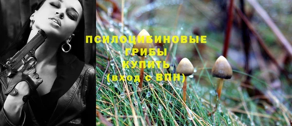 прущие крисы Беломорск