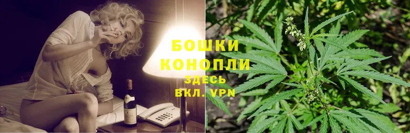 магазин продажи   Белоусово  Конопля SATIVA & INDICA 